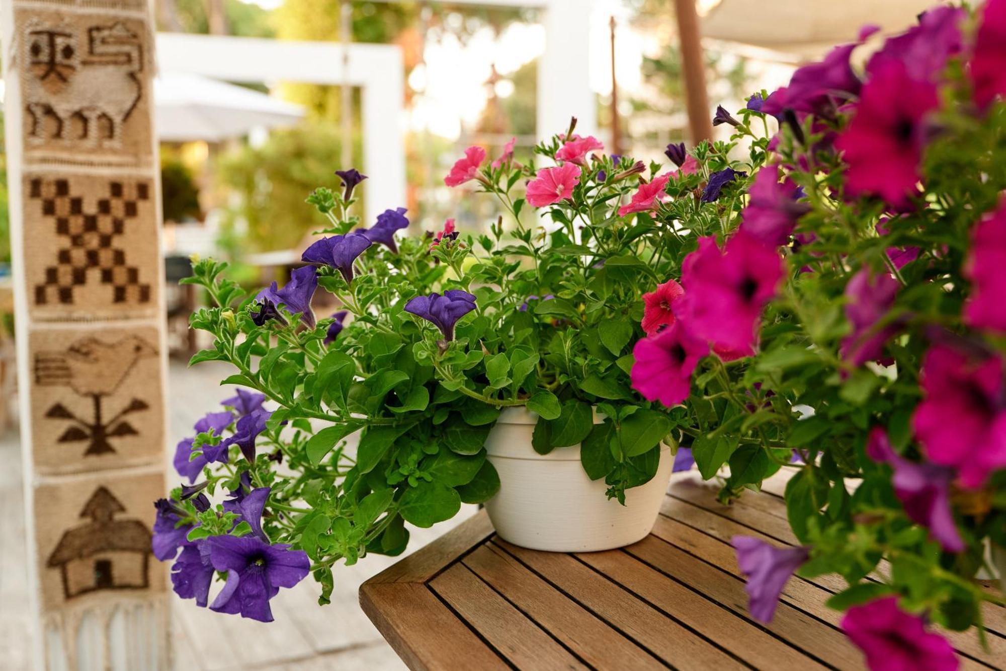 Hotel Saraceno Resort With Private Beach Milano Marittima Zewnętrze zdjęcie